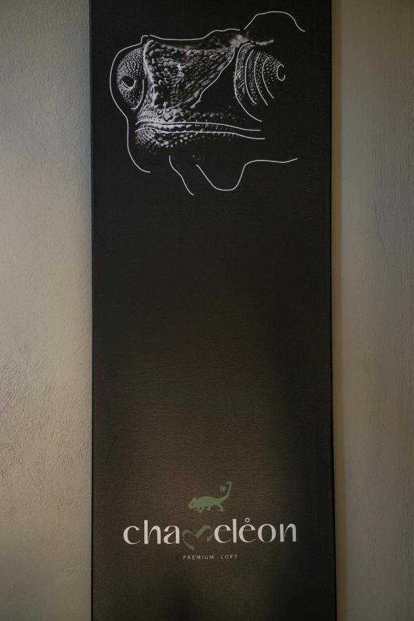 Chameleon Premium Loft Appartement Nauplion Buitenkant foto